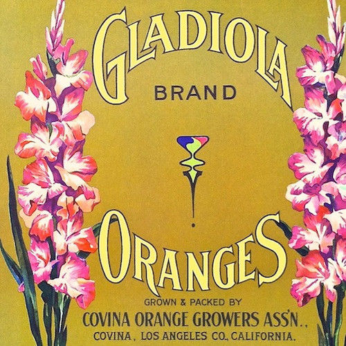 GLADIOLA ORANGES Citrus Crate Box Label