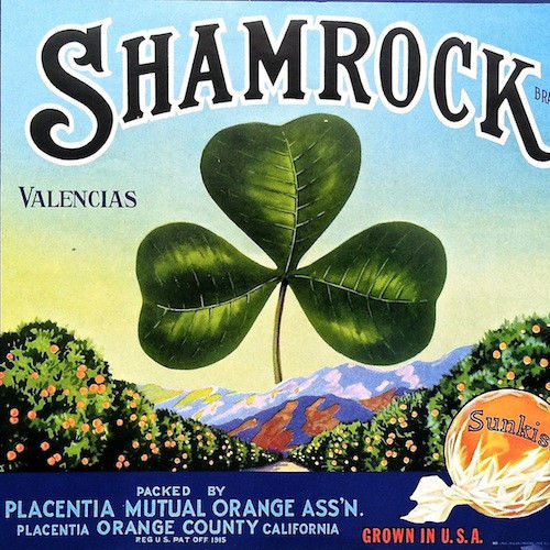 SHAMROCK SUNKIST ORANGES Citrus Crate Box Label 1930s