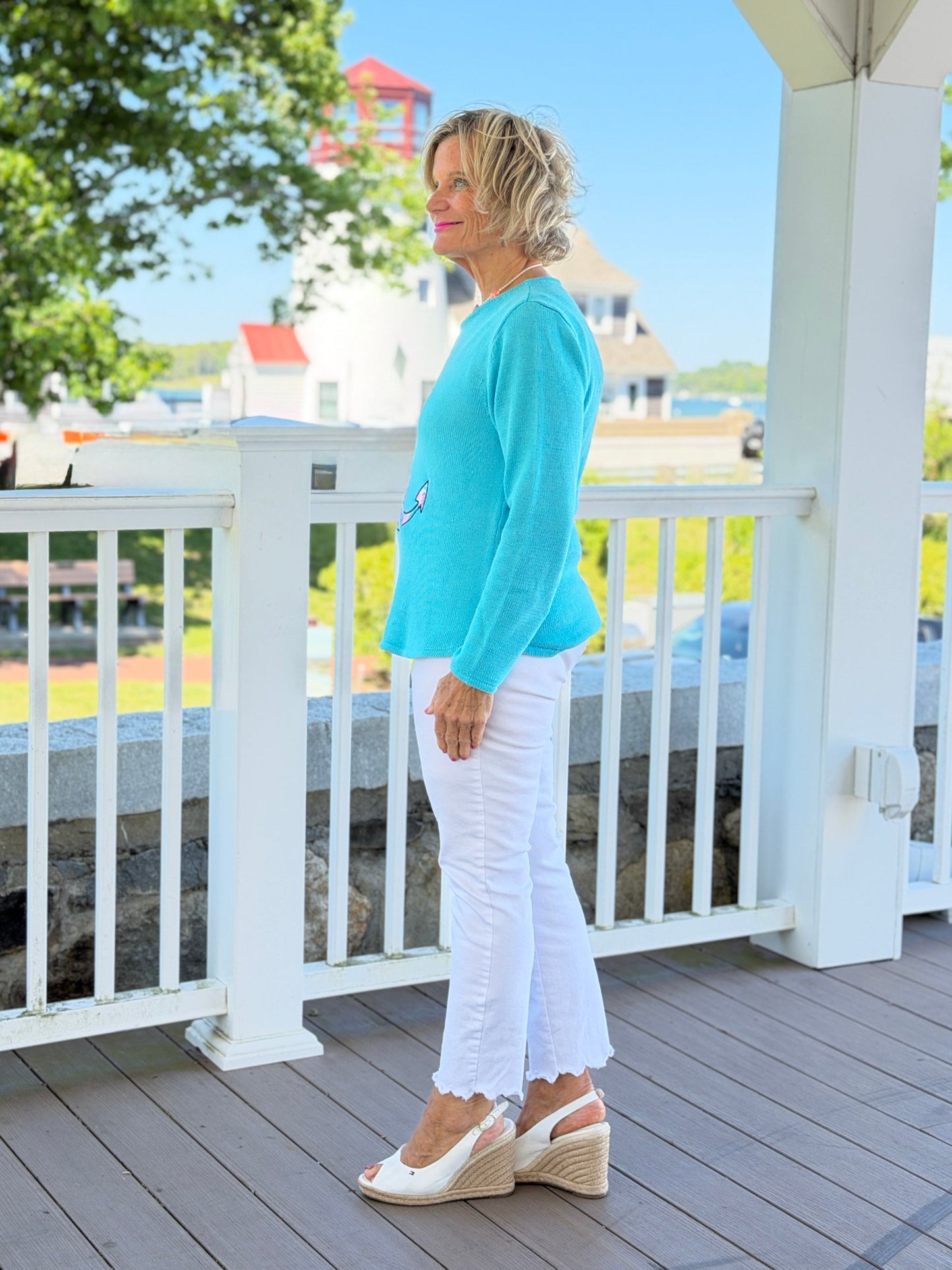 BEACH CLUB AQUA CAPE COD ANCHOR SWEATER