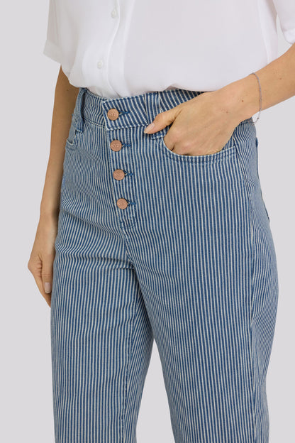 Kasey Stovepipe Ankle Jeans - Malaga Stripe