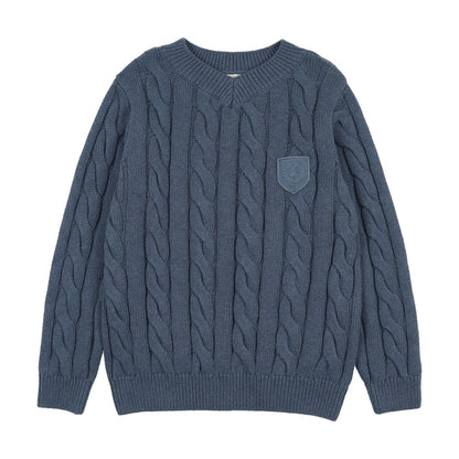 Analogie Chunky V Neck Sweater
