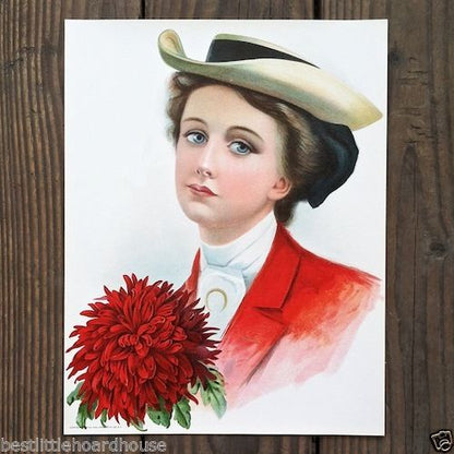 ASTER FLOWER Victorian Stone Lithograph Print 1906