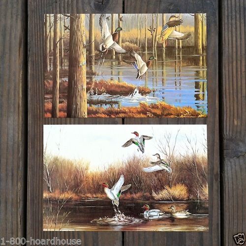 BIRDS ART LITHOGRAPH Prints 1920s