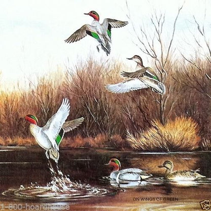 BIRDS ART LITHOGRAPH Prints 1920s