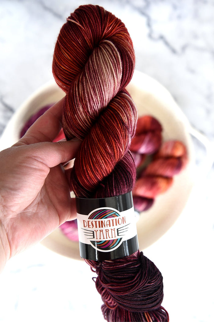 Destination Yarn fingering weight yarn Voyage Cave of Hands