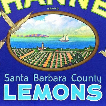 CHANNEL LEMON Citrus Crate Box Label