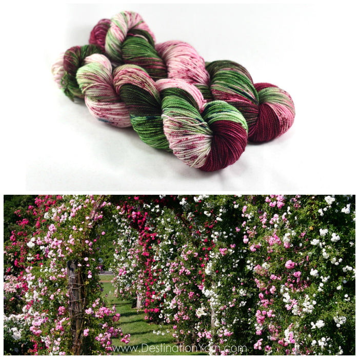 Destination Yarn fingering weight yarn ELIZABETH PARK