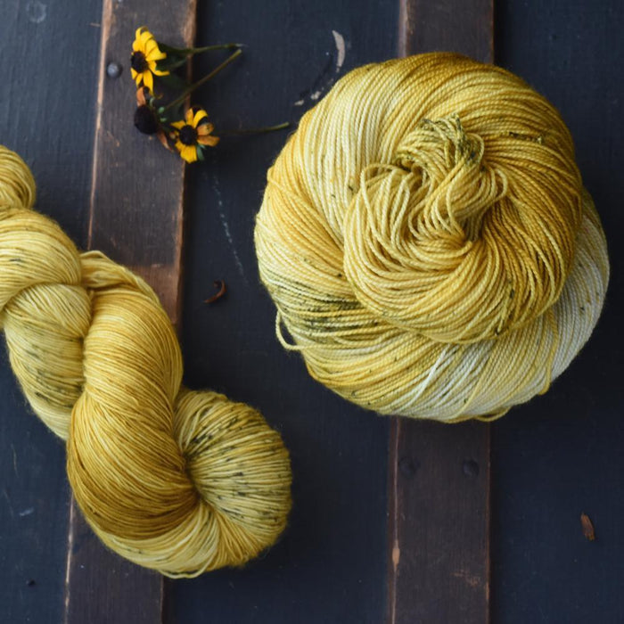 Destination Yarn fingering weight yarn Fall Full Skein Set