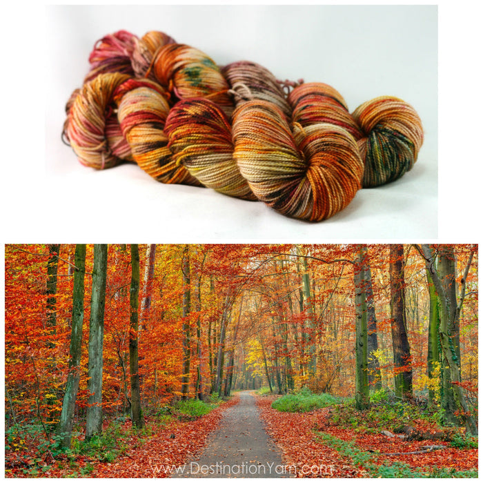 Destination Yarn fingering weight yarn Fall Full Skein Set
