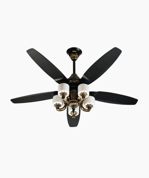 Fanoos Inverter
