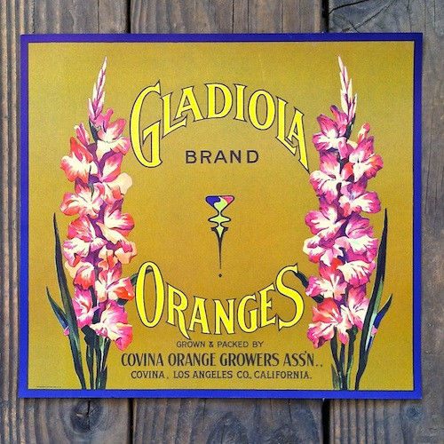 GLADIOLA ORANGES Citrus Crate Box Label