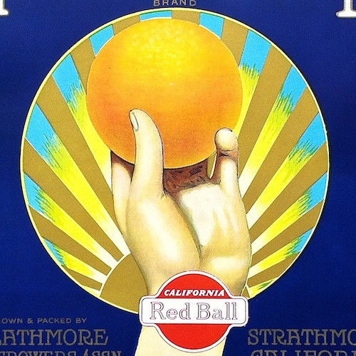 HANDSUM Citrus Crate Box Label