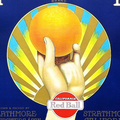 HANDSUM Citrus Crate Box Label