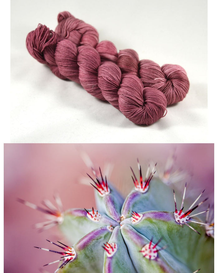 Destination Yarn Yarn Sets Mojave Desert Trio
