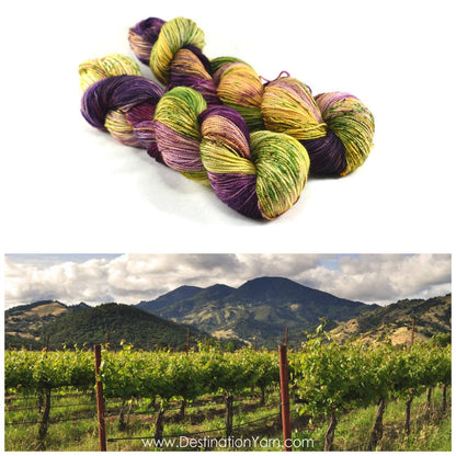 Destination Yarn fingering weight yarn NAPA VALLEY
