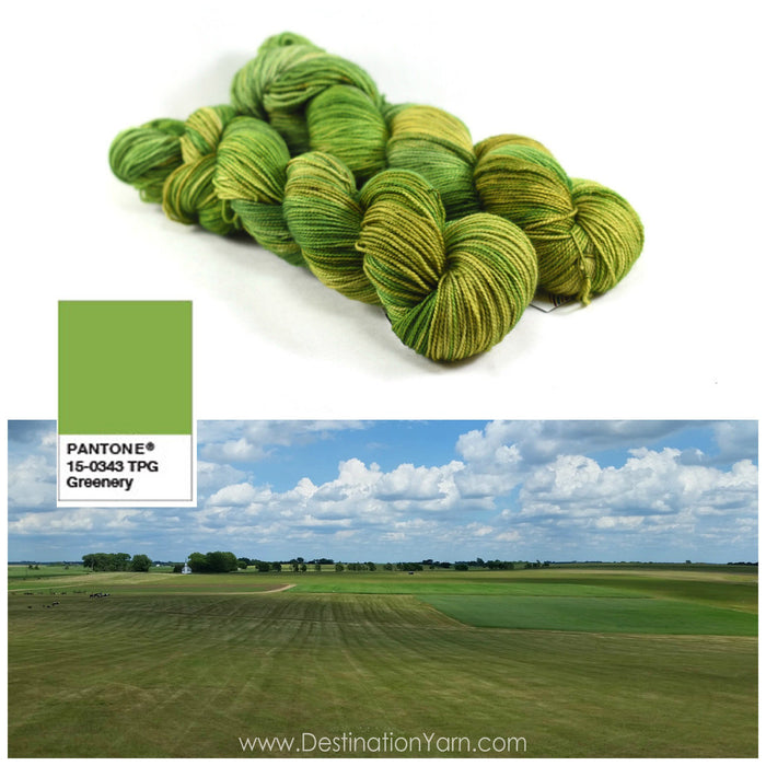 Destination Yarn fingering weight yarn Prairie