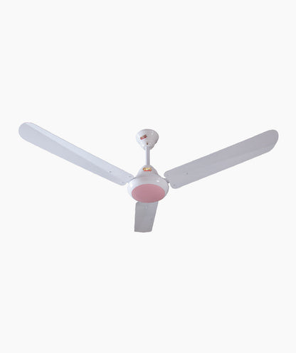 Ravi DC 12Volt Only