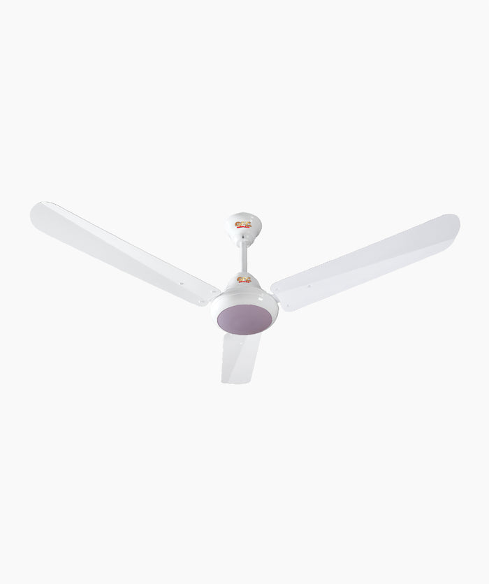 Ravi DC 12Volt Only