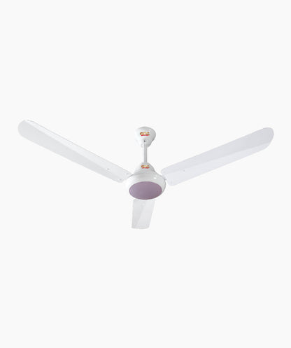 Ravi DC 12Volt Only