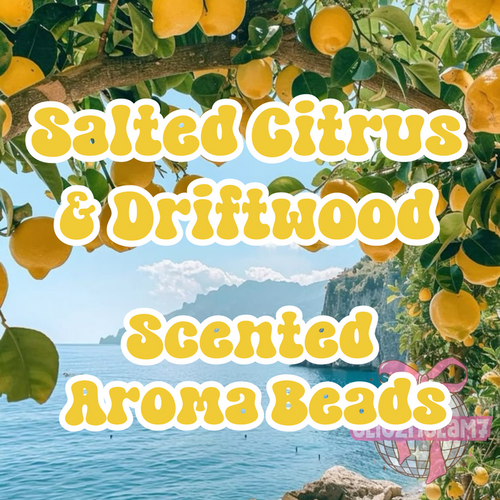 Salted Citrus & Driftwood Premium Scented Aroma Beads