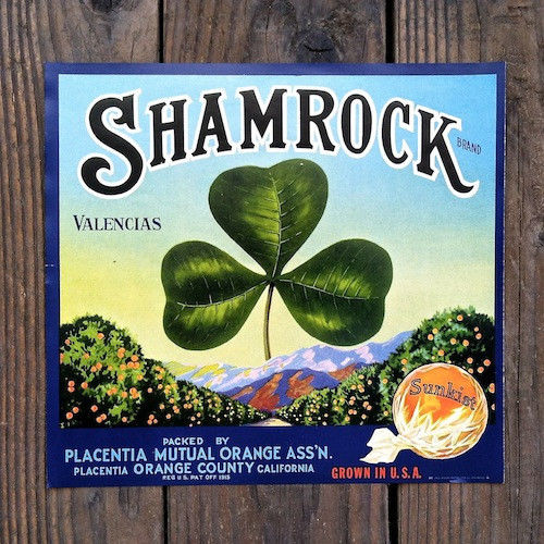 SHAMROCK SUNKIST ORANGES Citrus Crate Box Label 1930s