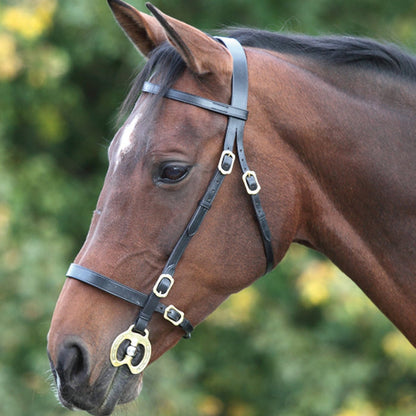 Shires Velociti Gara Plain In Hand Bridle- Shetland Size- Black