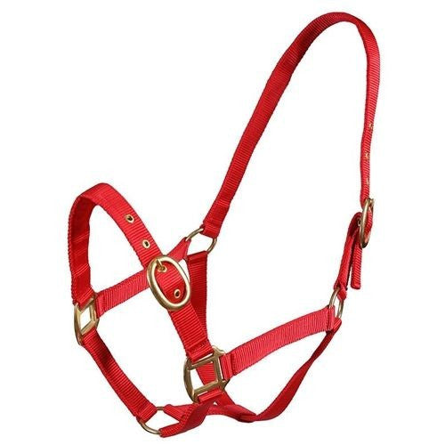 Turfmaster Headcollars- Weanling