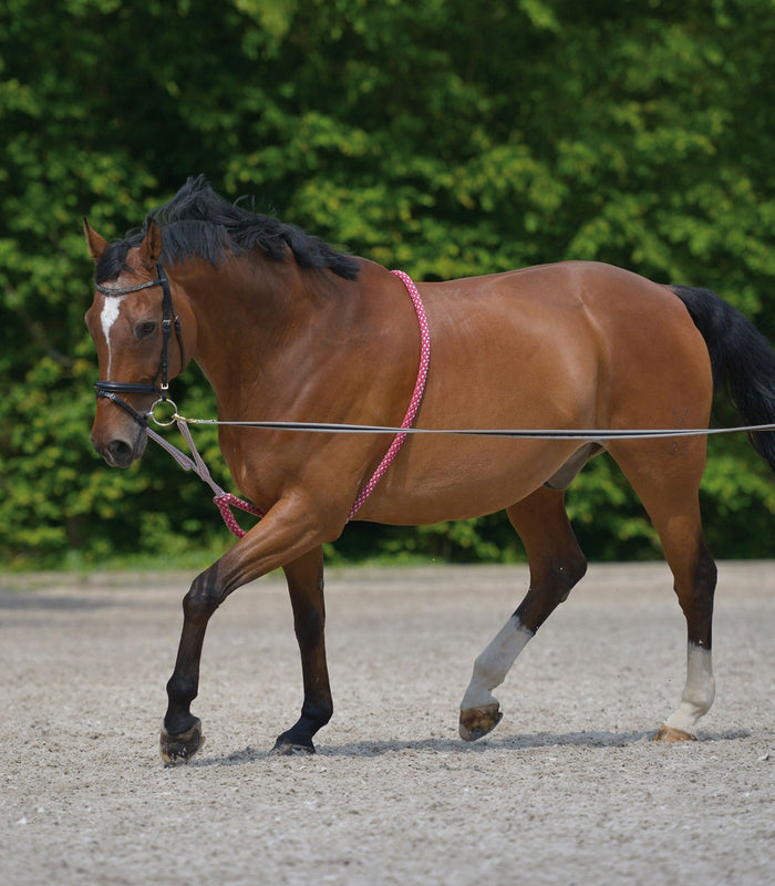 Waldhausen Lunging Aid- Red/Grey