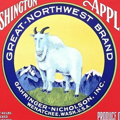 WASHINGTON APPLES Fruit Crate Box Label